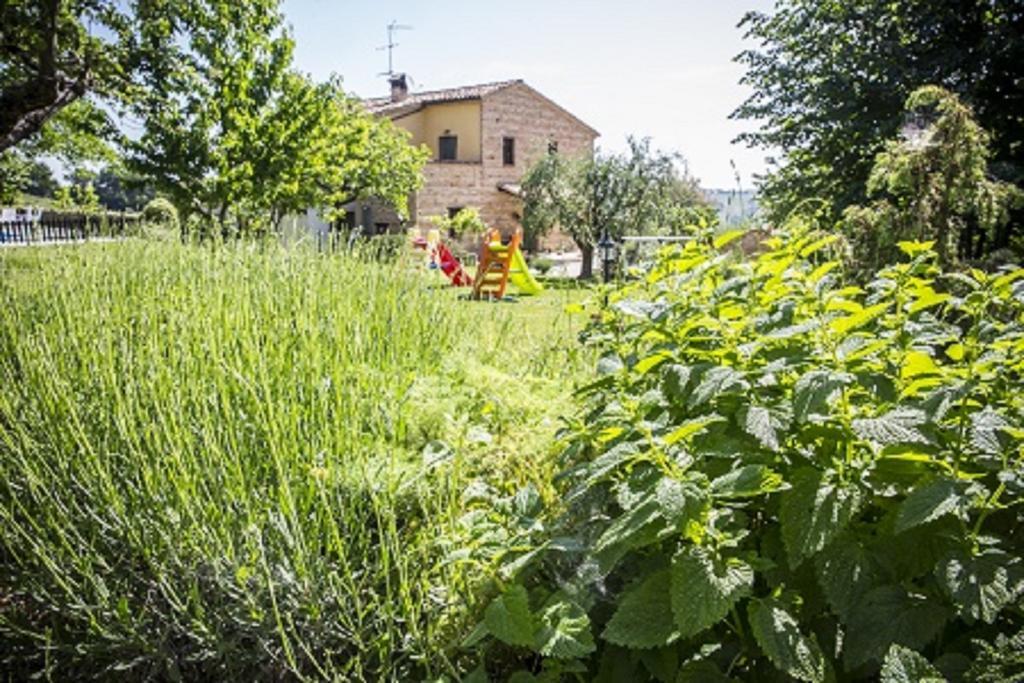 Il Casale Di Aurora Country House Colmurano Eksteriør billede