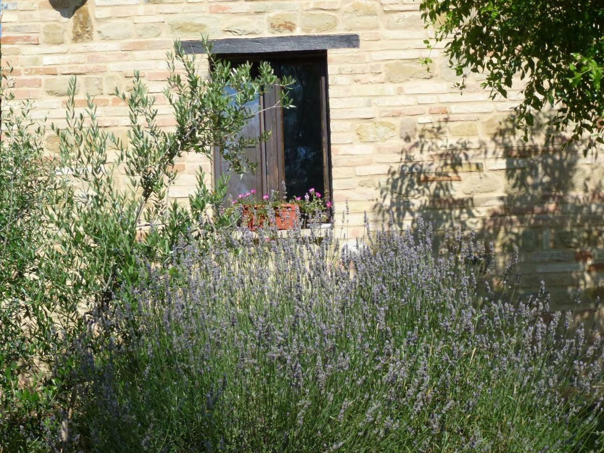 Il Casale Di Aurora Country House Colmurano Eksteriør billede